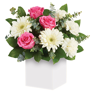 Code: A302. Name: Sweet Thoughts. Description: Share your sweet thoughts with this lady like arrangement of pure white Gerberas candy pink Roses and soft white Carnations. A very gentle colour combination. Price: AUD $94.95